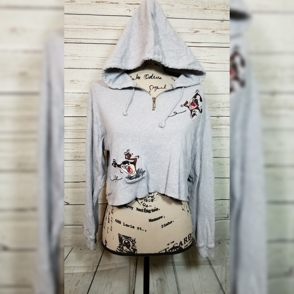Warner Studios Gray Crop Top Hoodie Small
